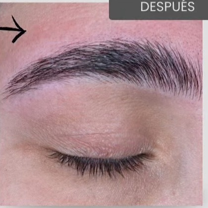 Laminado de cejas — después